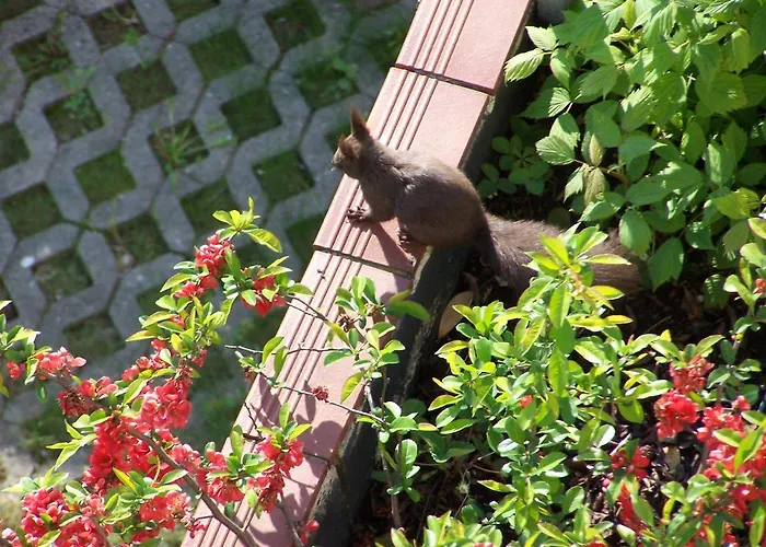 Salotto Di Lazia Bad Schallerbach