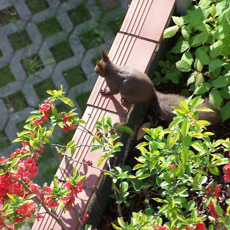 Salotto Di Lazia باد شيلاباك